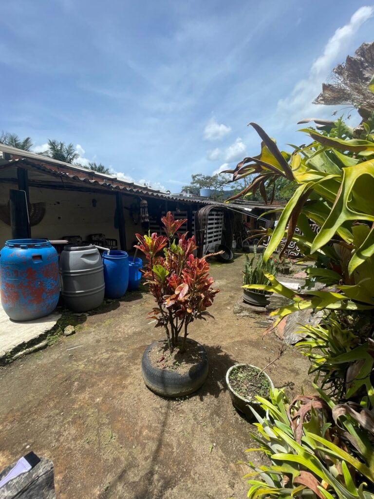 Foto 13