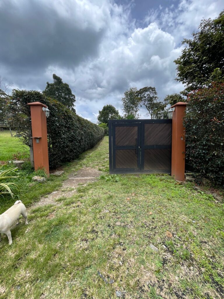 Foto 15