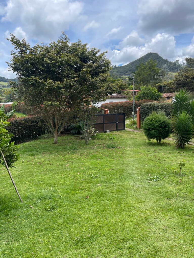 Foto 16