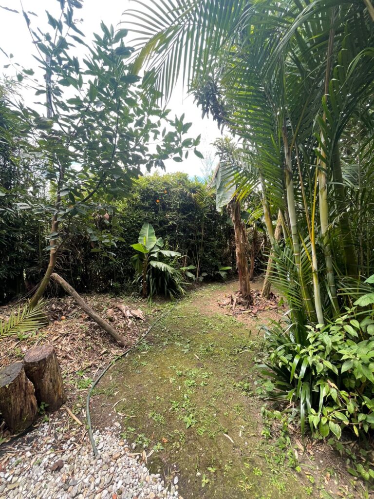 Foto 10