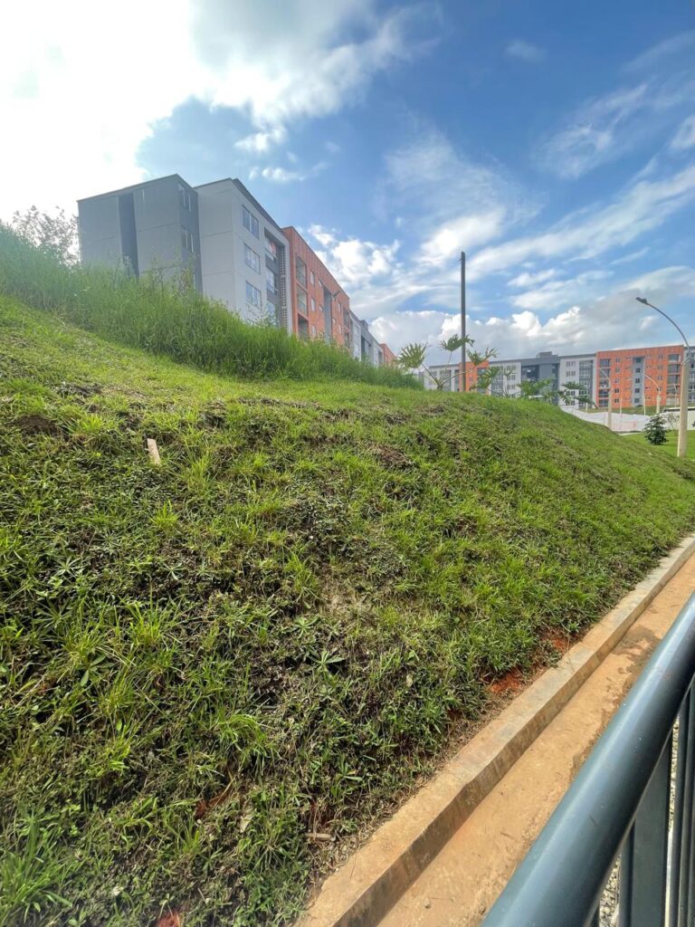 Foto 10