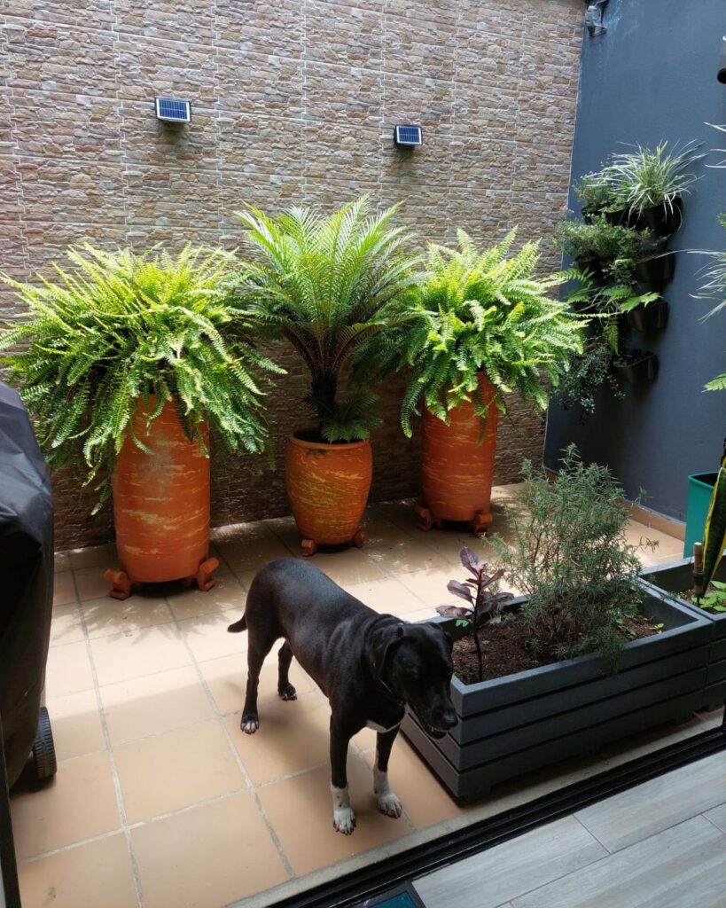 Foto 5