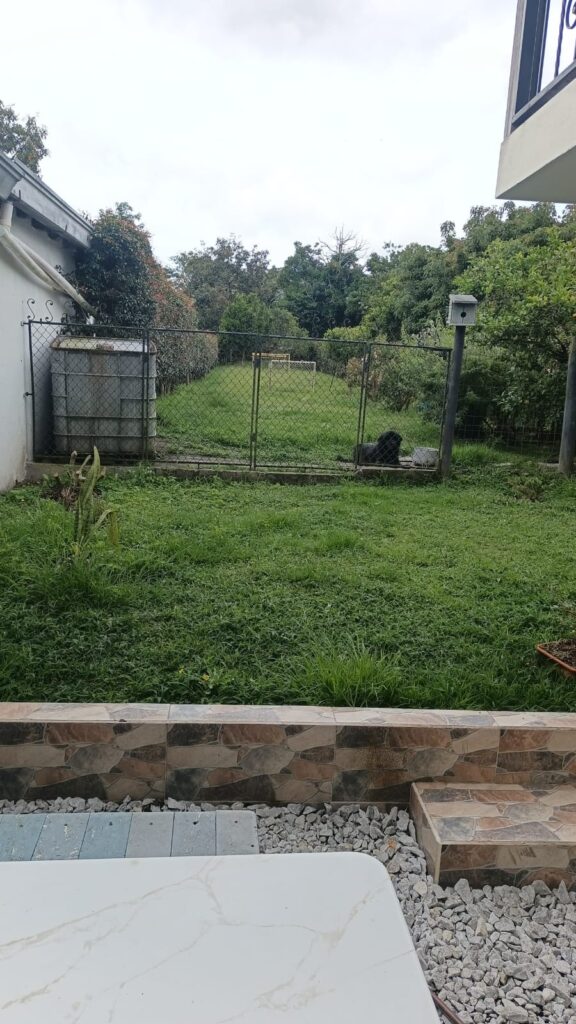 Foto 14