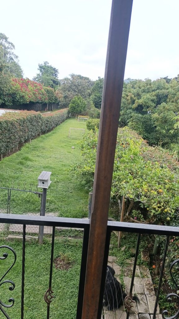 Foto 17